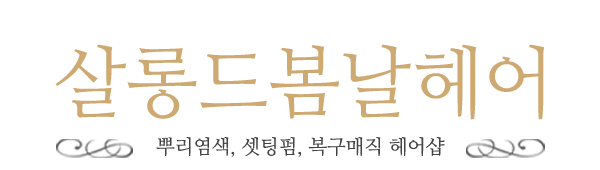 살롱드봄날헤어_로고