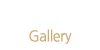 갤러리